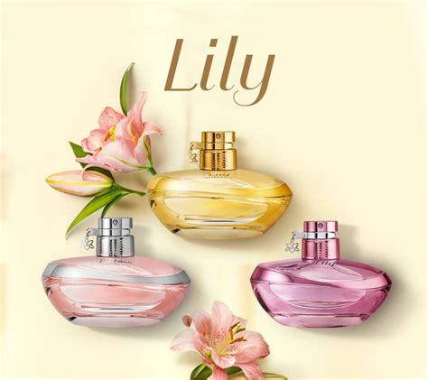 perfumes deo parfum boticário|perfume boticário feminina.